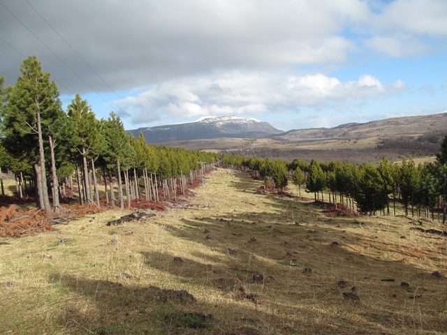 neoimg_1ddfafa4428147ebb155d9c1e3194507