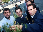 Ministro del Interior y Seguridad Pública (s) destaca aumento del 32% en incautaciones de marihuana por parte de la PDI en lo que va de 2012